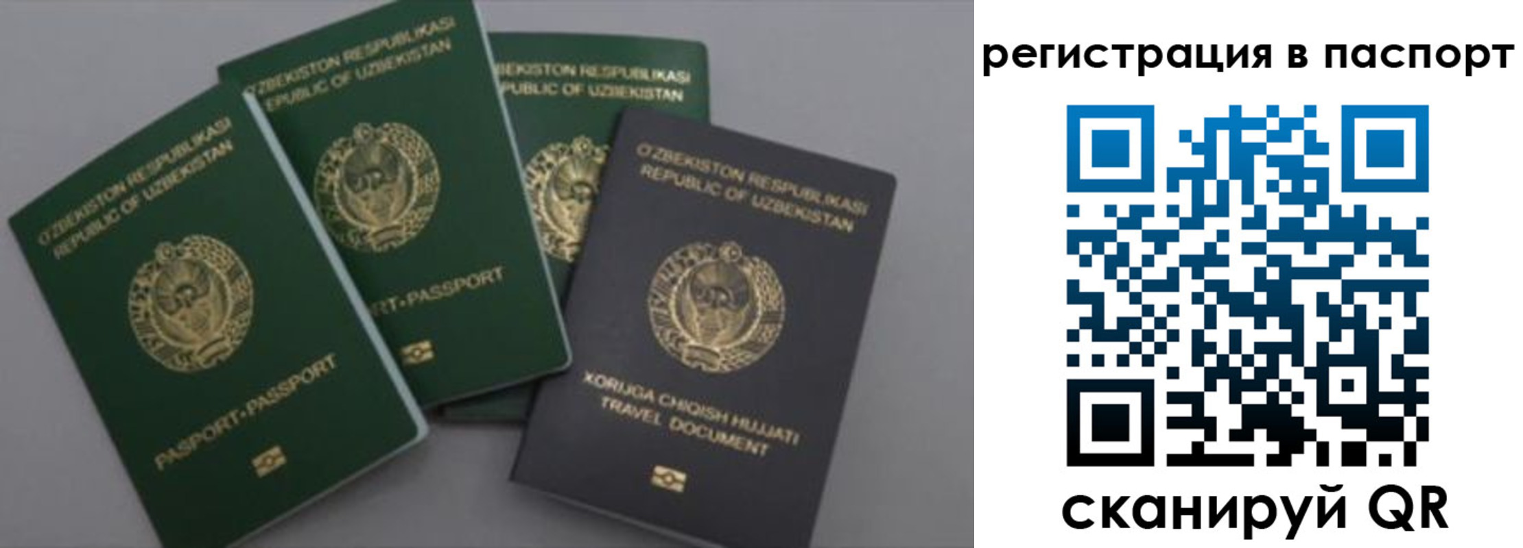 прописка от собственника в Владивостоке